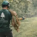 How to Get Rid of Siberian Elm and Tree-of-Heaven in Denver